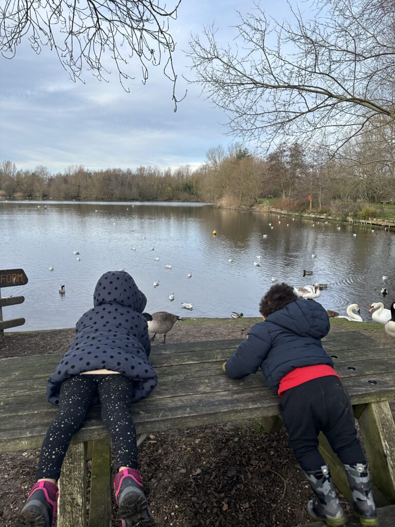 Exploring the Lake